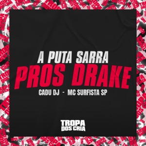 A Puta Sarra Pros Drake