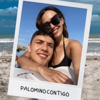 PALOMINO CONTIGO - Single - BirdMusicc