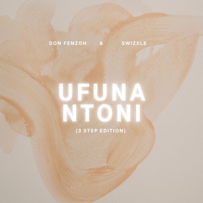 Ufuna ntoni (3 Step Edition) - Single