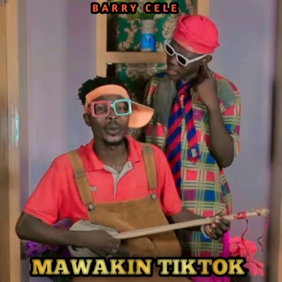 zarmalulun garba (feat. Chali) - Single