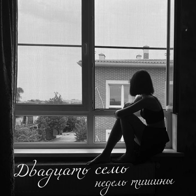 ДВАДЦАТЬ СЕМЬ НЕДЕЛЬ ТИШИНЫ