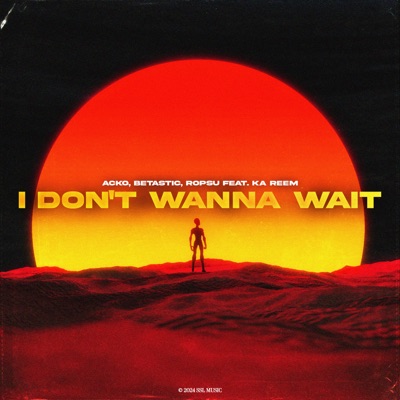 I Don't Wanna Wait (feat. Ka Reem) - Single