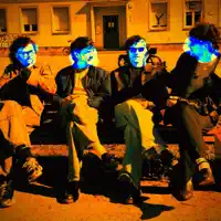 Sonnenblumen — Yisit