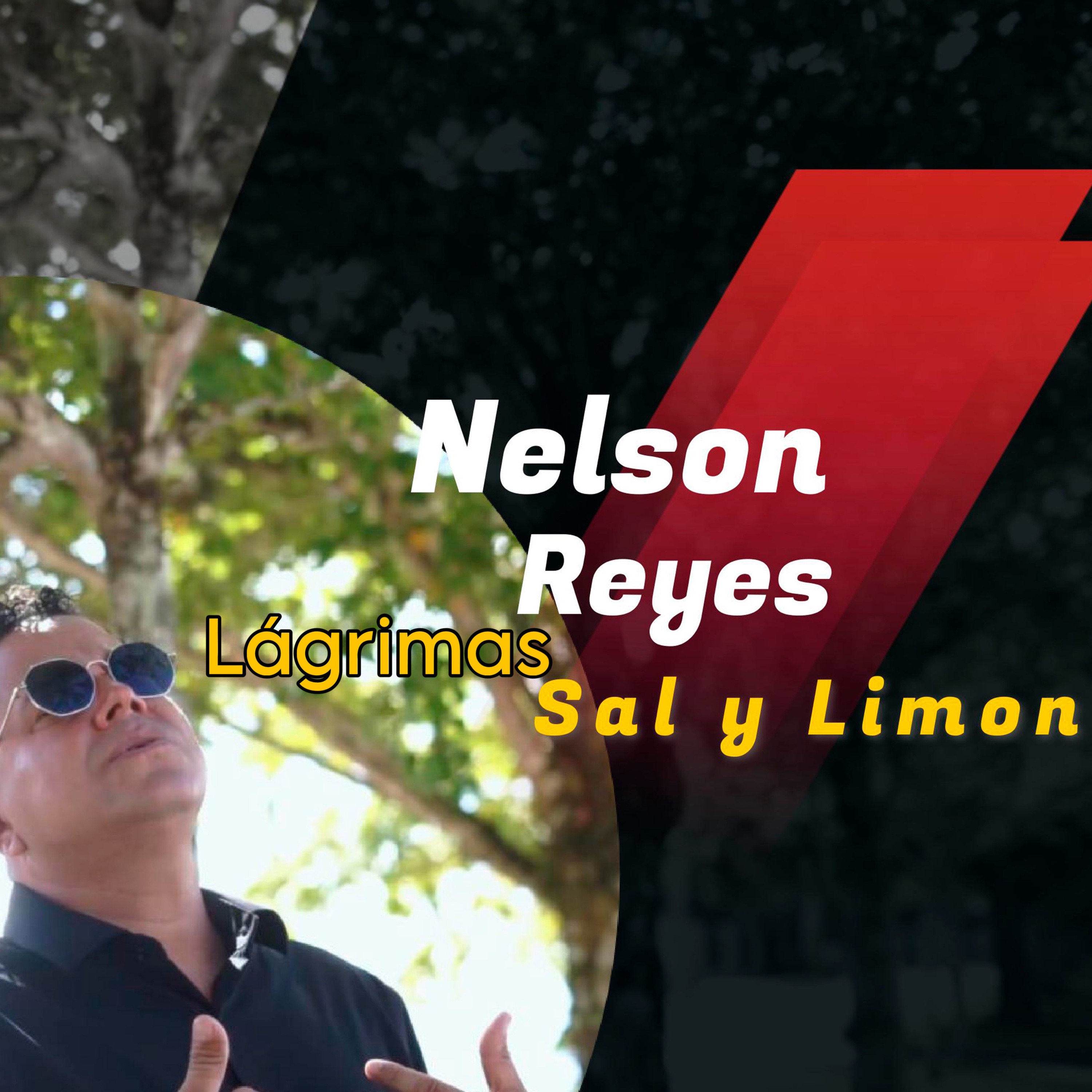 Lágrimas, Sal y Limón - Single