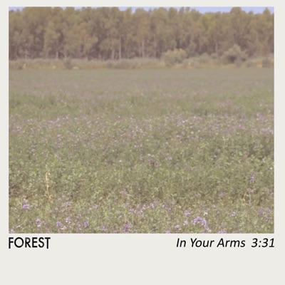 In Your Arms - Single
