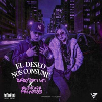 El Deseo Nos Consume (feat. Babysam LM) - Single - ALEXITA PRINCESS