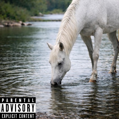 To Lead A Horse To Water