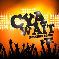 Cya Wait (Together Again) - Single - Tizzy