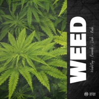 Weed (Dash et Bazardé) [feat. Nada] - Single - Washplay