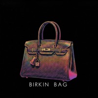 Birkin Bag - Single - Alina G & danxkim
