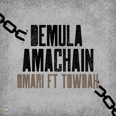 Demula Amachain (feat. Towdah) - Single