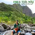 Free The Wai