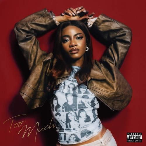 Amaeya – Too Much – Single [iTunes Plus AAC M4A]