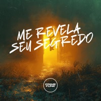 ME REVELA SEU SEGREDO (feat. Prime Funk) - Single - DJSANTANAO, MC GW & MC Flavinho