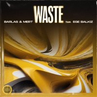 Waste (feat. Ege Balkiz) - Single - Barlas & Mert