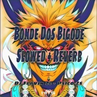 Bonde Dos Bigode (Slowed + Reverb) - Single - DJ FLAVIN ZL, PSICO ZS & Só Hits Records
