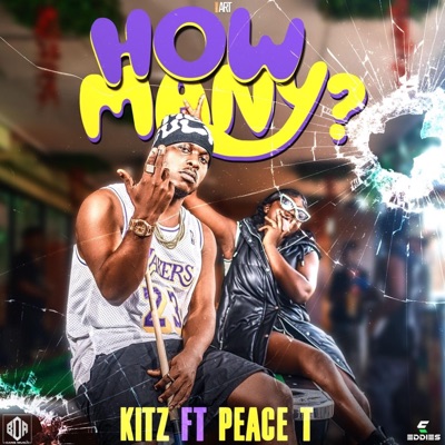 How Many (feat. Peace T) - Single