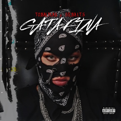 Gata Fina (feat. TobalFlay) - Single