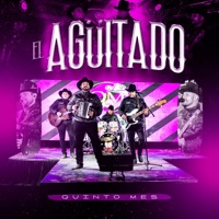 El Aguitado - Single - Quinto Mes
