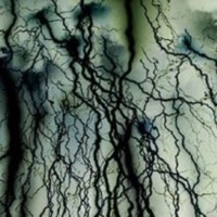 w33d - Single - DUSTMYTE