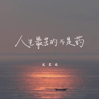 人生最苦的不是药 - Single - 花不晚
