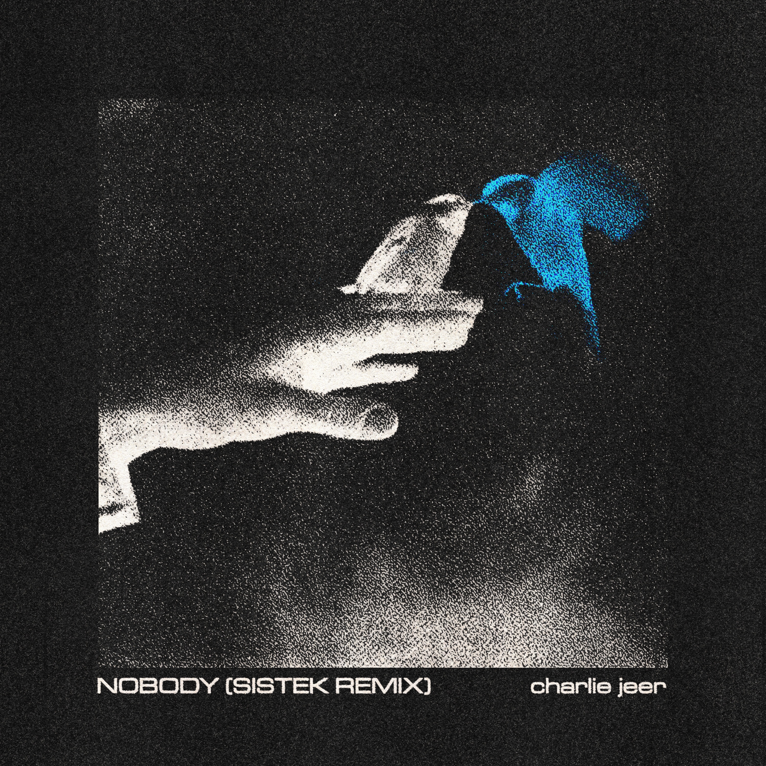 Nobody (Sistek Remix) - Single