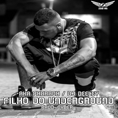 Filho do Underground (feat. Dj Deeley) - Single