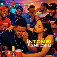 Intombi Ka Mr Party (feat. Cruel Soulz & Invincible Boyz) - Single - Abangani Bethu