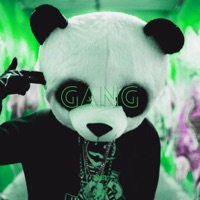GANG (feat. Senex Beats) - Single - thevillain267