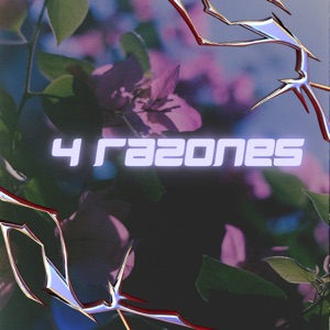 4 Razones