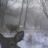 Rainbow Six - Single - Tayo