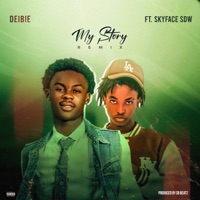 My Story (Remix) - Single - Dei Bie & Skyface SDW