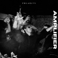 Amplifier - Single - Polarity