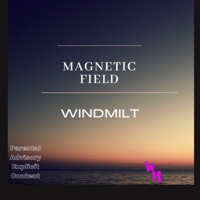 Magnetic Field - Single