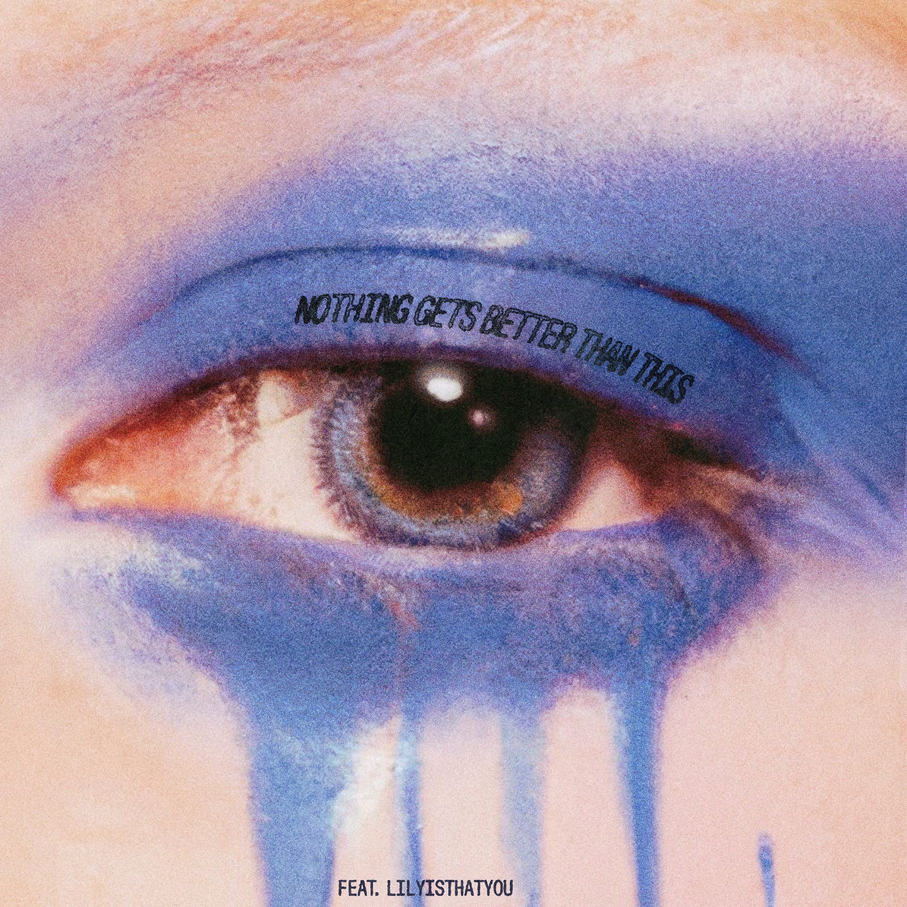 Nothing Gets Better Than This (feat. Lilyisthatyou) - Single