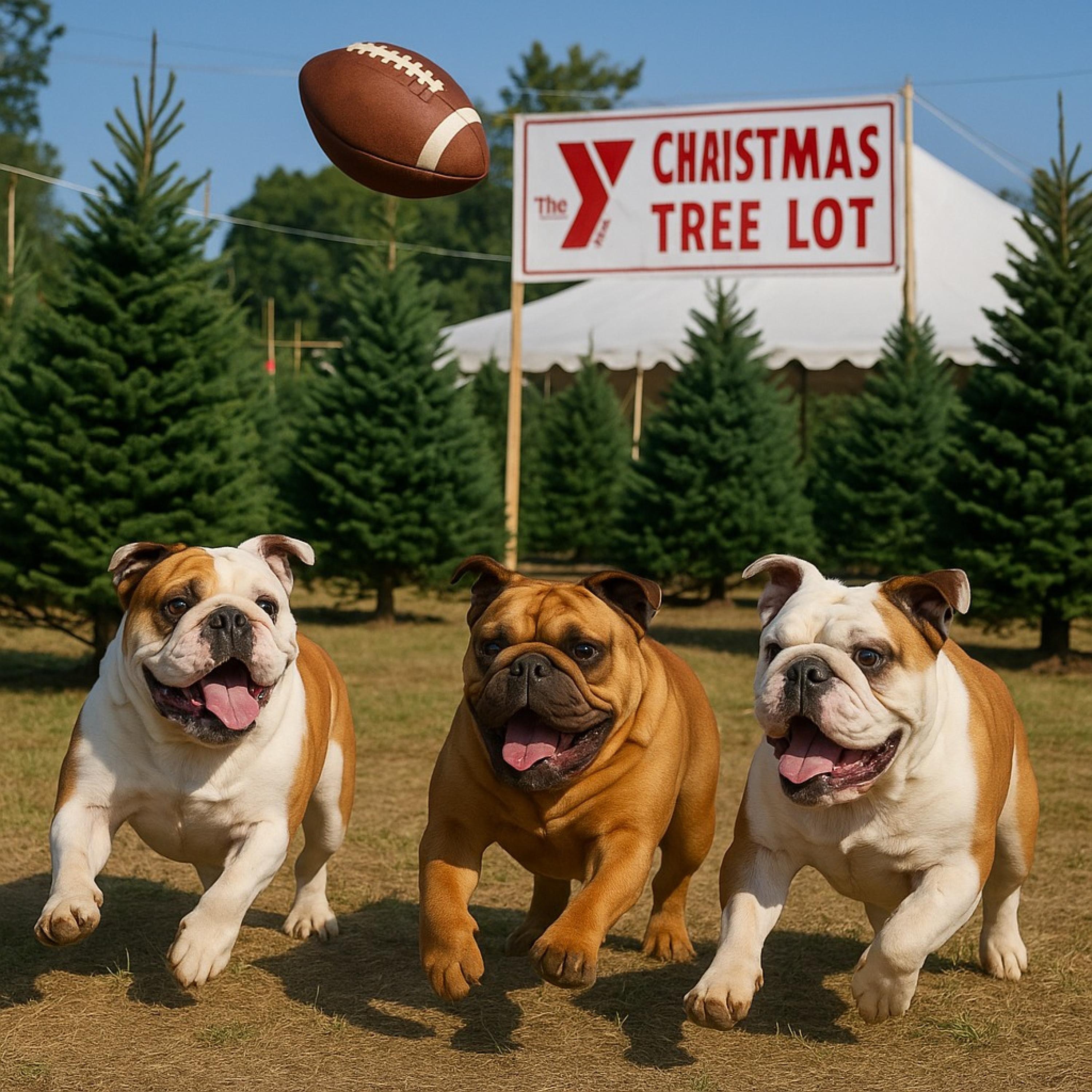 Bulldogs and Indians - Single