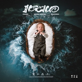 Ingenuo Faro, Paco6x & José Noire