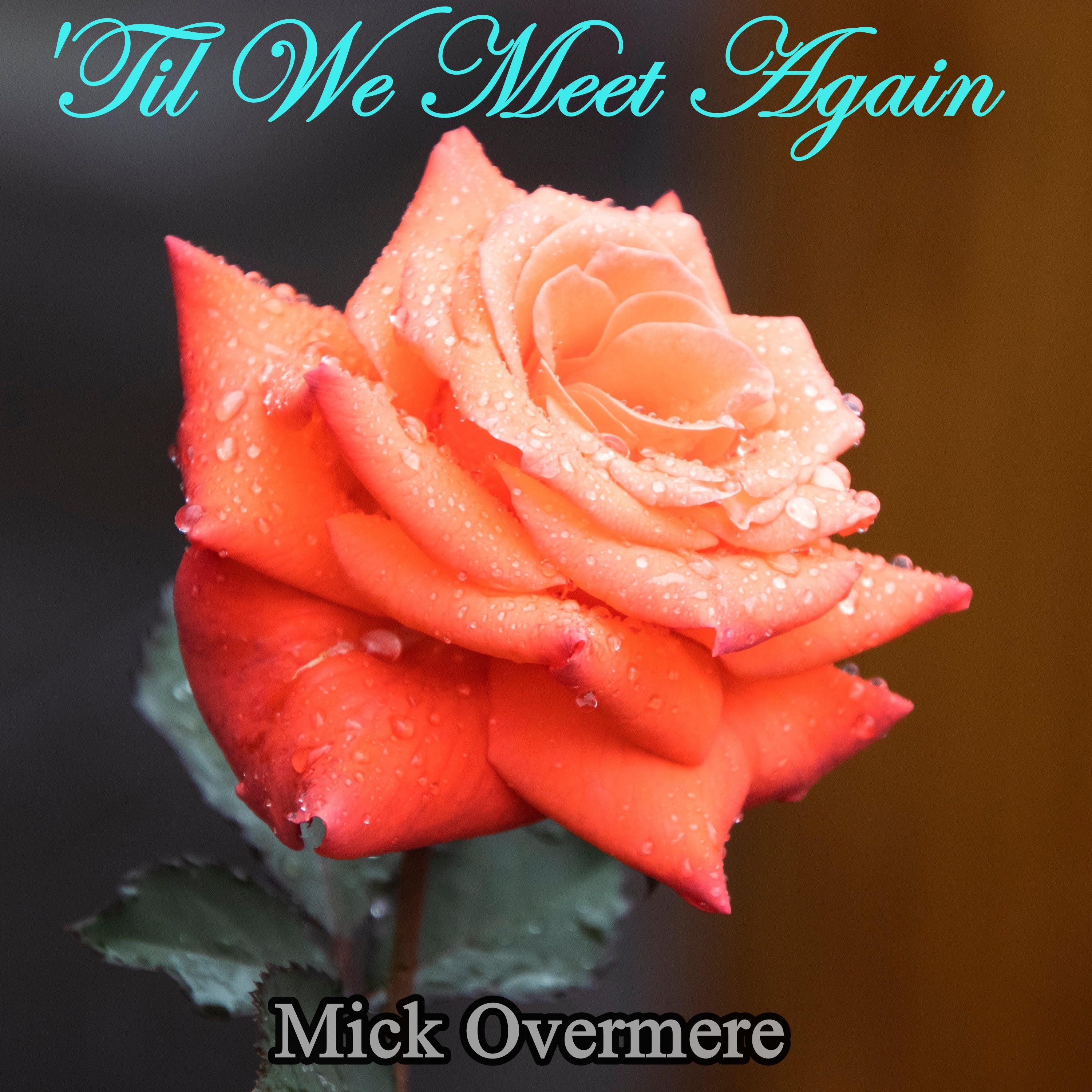 'Til We Meet Again - Single