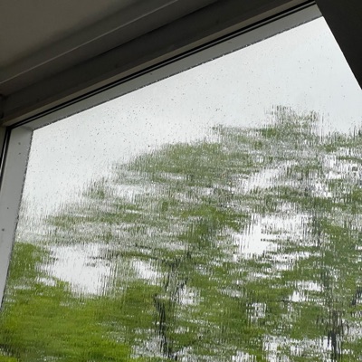 Stop the thinking - Single