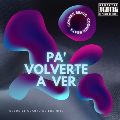 Pa' Volverte a Ver - Single