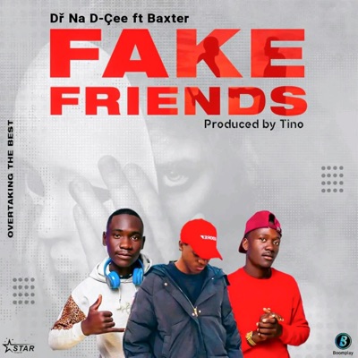 Fake Friends (feat. Baxter ent & D cee) - Single