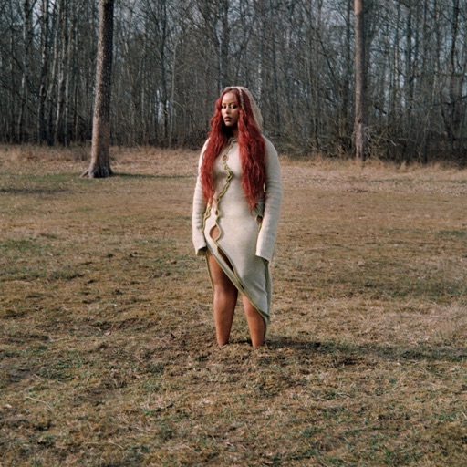 Album artwork
