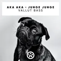 Vallut Bass — AKA AKA, Junge Junge