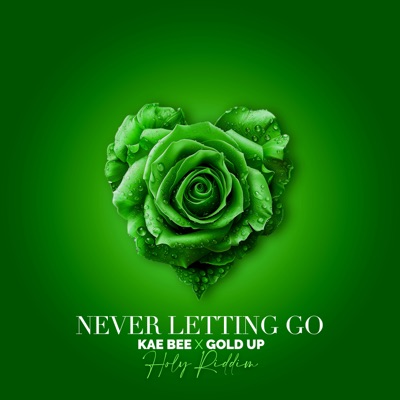 Never Letting Go (Holy Riddim) - Single