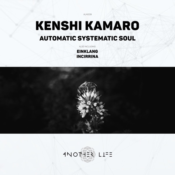 Automatic Systematic Soul - Single
