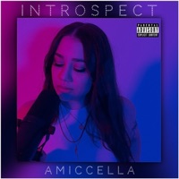 Introspect - EP - Amiccella