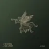 Cherubim & Seraphim