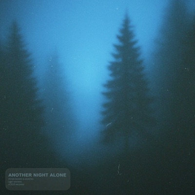 another night alone - Single