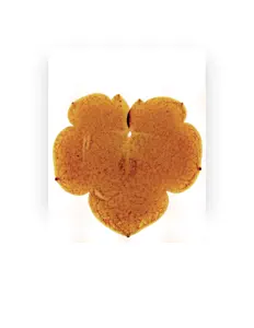 Escucha a MH, mira vídeos musicales, lee la biografía, consulta fechas de giras y mucho más.