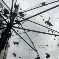 stiletto (feat. Tores) - Single - Hini